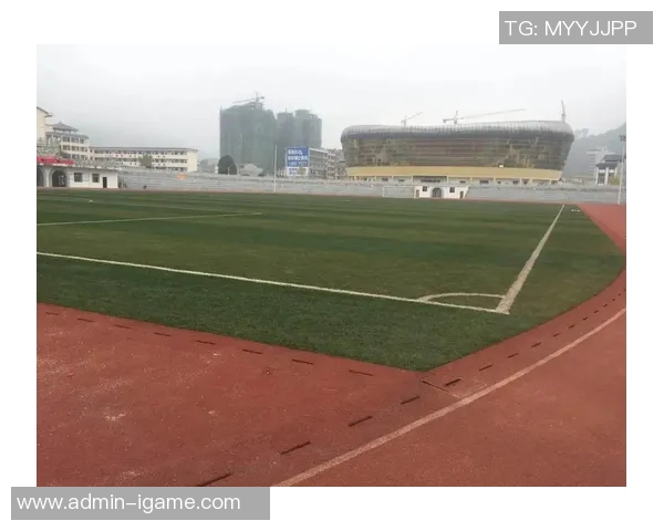 探索PU足球场的魅力与优势助力青少年足球发展新篇章